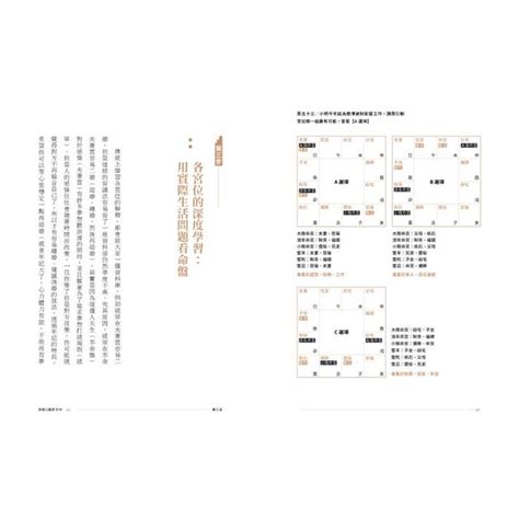 紫微斗數如何解盤|紫微攻略．紫微斗數新手村：從新手到高手，成。